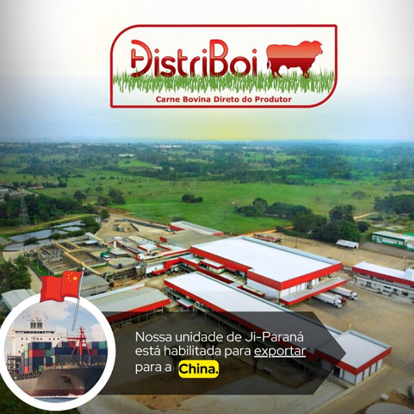 DISTRIBOI - INDUSTRIA COMERCIO E TRANSPORTE DE CARNE BOVINA LTDA beef tenderloin