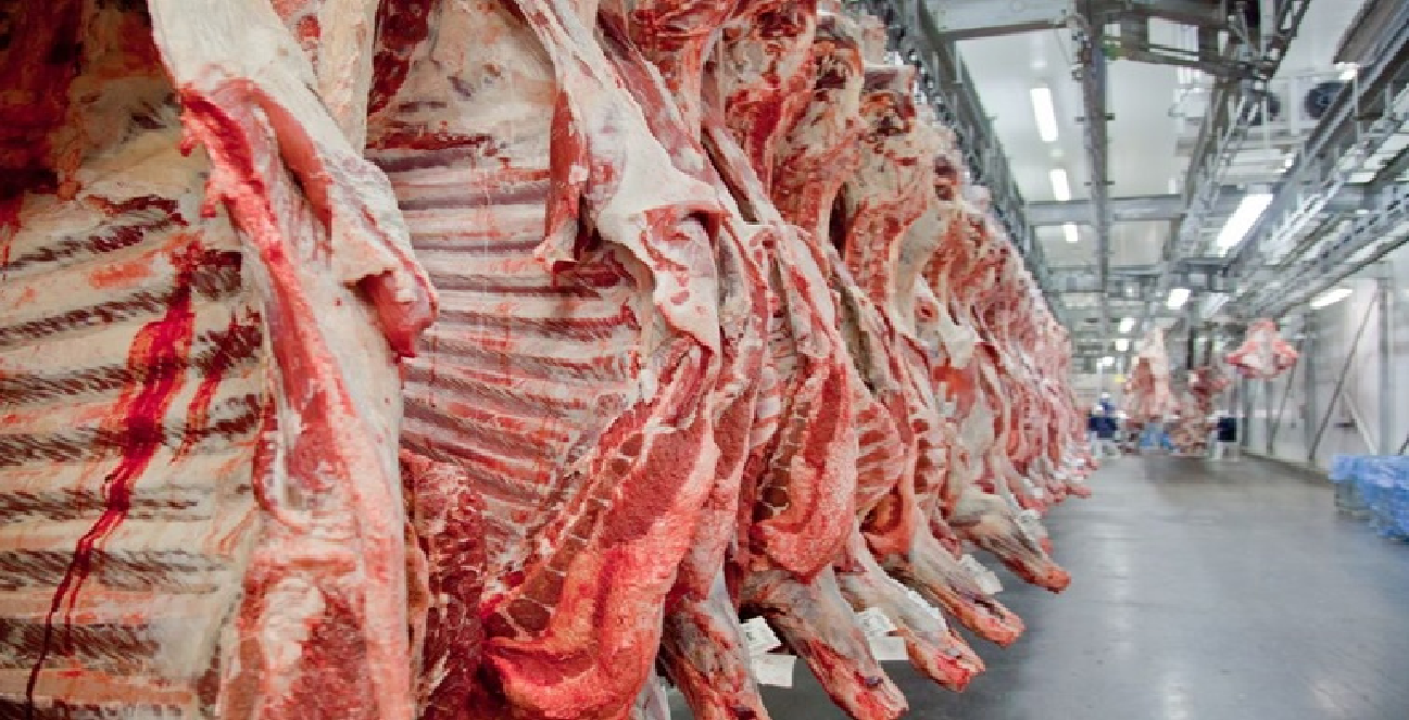 DISTRIBOI - INDUSTRIA COMERCIO E TRANSPORTE DE CARNE BOVINA LTDA beef topside for sale